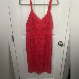 Express Lace Dress
